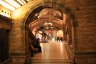 gal/Londres/Natural_History_Museum/_thb_London_Natural_History_Museum277.jpg