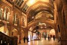 gal/Londres/Natural_History_Museum/_thb_London_Natural_History_Museum278.jpg
