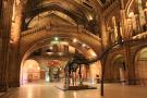 gal/Londres/Natural_History_Museum/_thb_London_Natural_History_Museum279.jpg