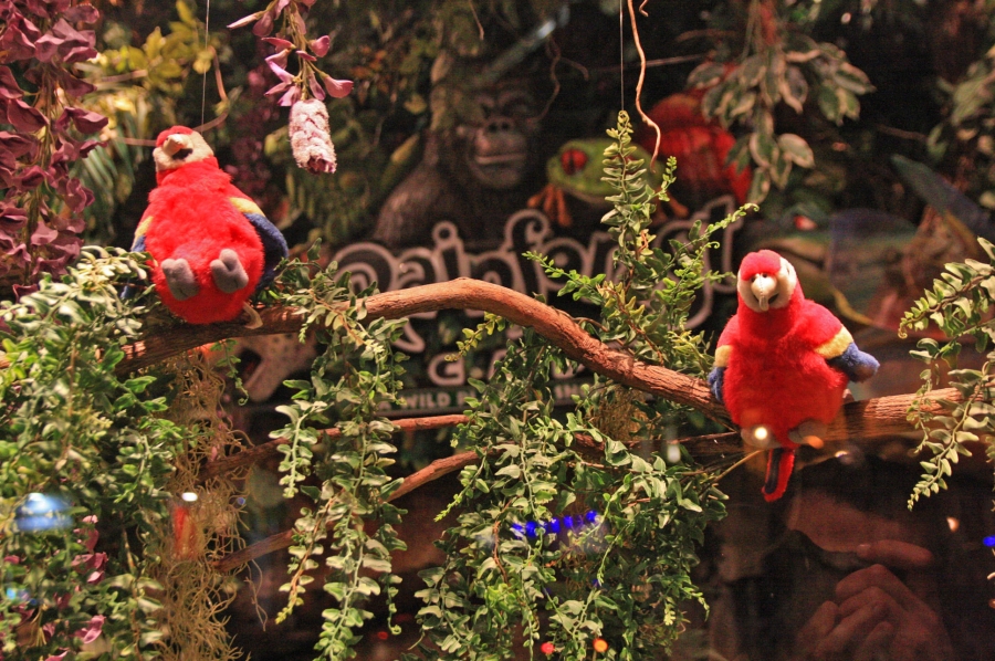 gal/Londres/Piccadilly_Circus/Rainforest_Cafe/IMG_1599.jpg