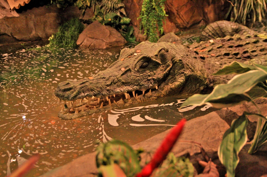 gal/Londres/Piccadilly_Circus/Rainforest_Cafe/IMG_1604.jpg