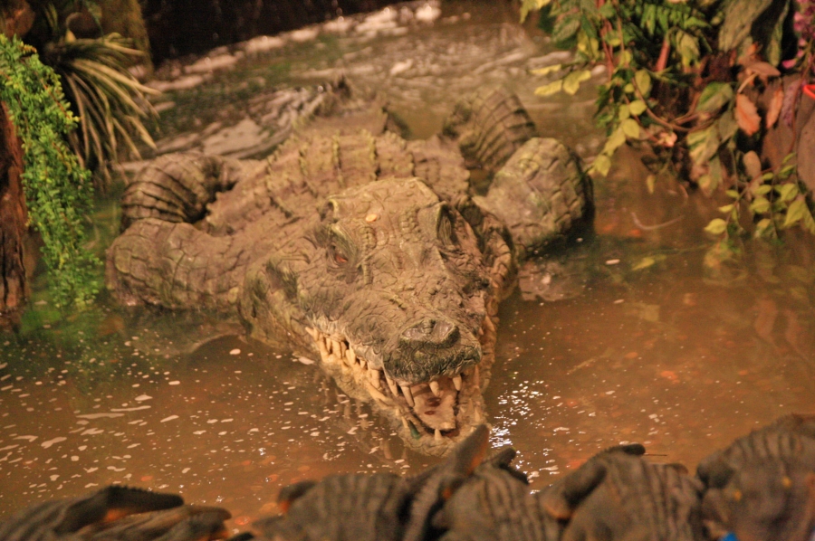 gal/Londres/Piccadilly_Circus/Rainforest_Cafe/IMG_2106.jpg