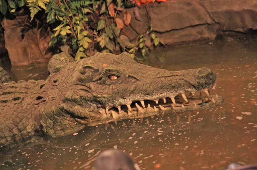 gal/Londres/Piccadilly_Circus/Rainforest_Cafe/IMG_2111.jpg