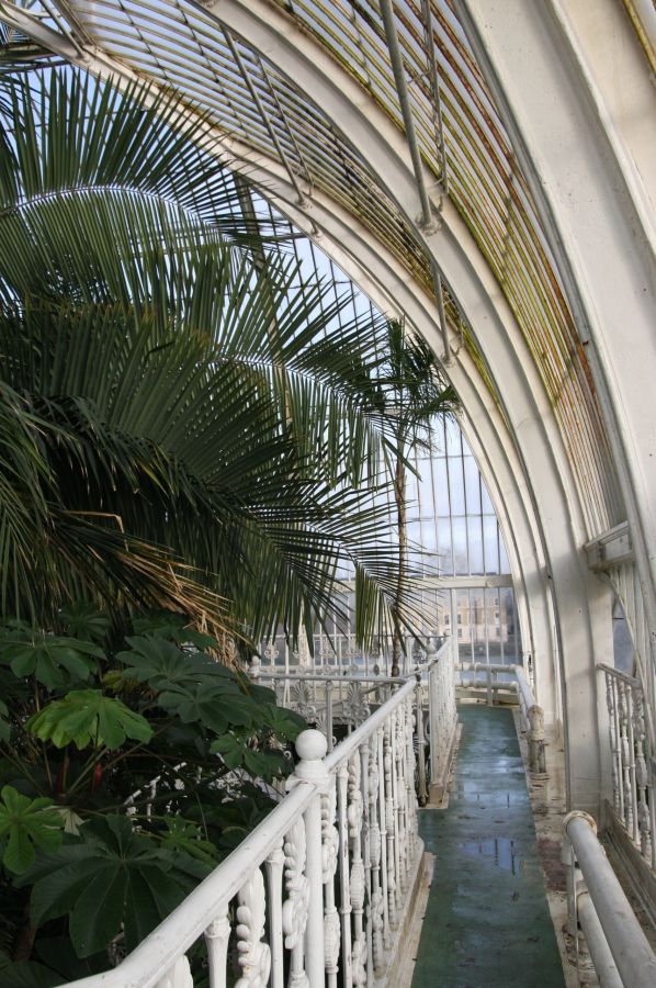 gal/Londres/Royal_Botanic_Gardens_-_Kew/Palm_House/Palm_House_Kew_Gardens15.jpg