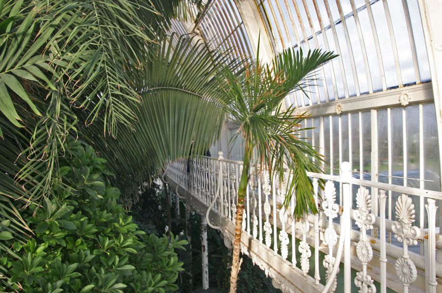 gal/Londres/Royal_Botanic_Gardens_-_Kew/Palm_House/Palm_House_Kew_Gardens21.jpg