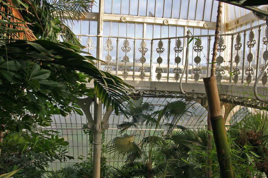 gal/Londres/Royal_Botanic_Gardens_-_Kew/Palm_House/Palm_House_Kew_Gardens23.jpg