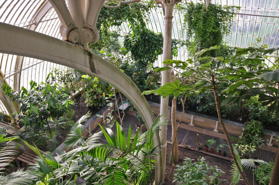 gal/Londres/Royal_Botanic_Gardens_-_Kew/Palm_House/Palm_House_Kew_Gardens24.jpg