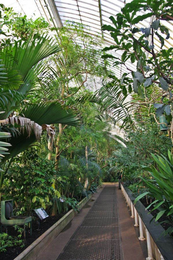 gal/Londres/Royal_Botanic_Gardens_-_Kew/Palm_House/Palm_House_Kew_Gardens34.jpg