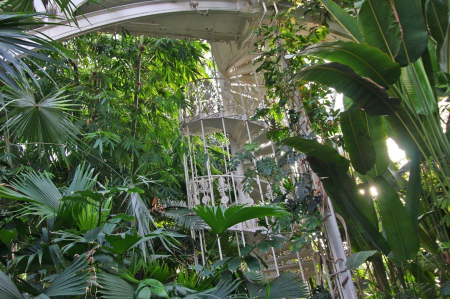 gal/Londres/Royal_Botanic_Gardens_-_Kew/Palm_House/Palm_House_Kew_Gardens42.jpg
