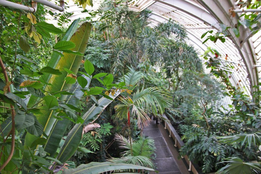 gal/Londres/Royal_Botanic_Gardens_-_Kew/Palm_House/Palm_House_Kew_Gardens69.jpg