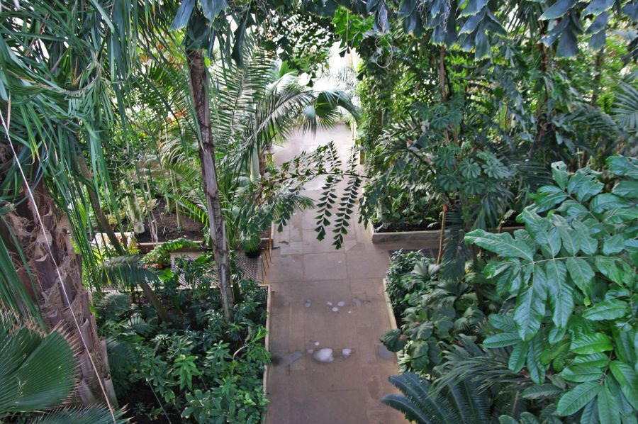 gal/Londres/Royal_Botanic_Gardens_-_Kew/Palm_House/Palm_House_Kew_Gardens73.jpg
