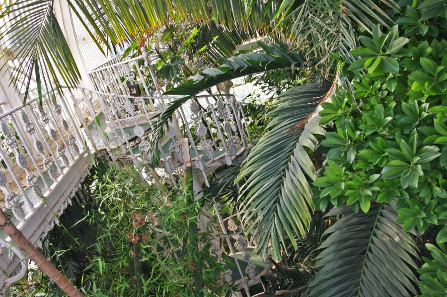 gal/Londres/Royal_Botanic_Gardens_-_Kew/Palm_House/Palm_House_Kew_Gardens74.jpg