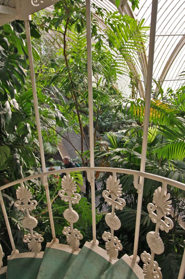 gal/Londres/Royal_Botanic_Gardens_-_Kew/Palm_House/Palm_House_Kew_Gardens77.jpg