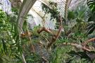 gal/Londres/Royal_Botanic_Gardens_-_Kew/Palm_House/_thb_Palm_House_Kew_Gardens25.jpg