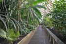 gal/Londres/Royal_Botanic_Gardens_-_Kew/Palm_House/_thb_Palm_House_Kew_Gardens27.jpg