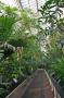 gal/Londres/Royal_Botanic_Gardens_-_Kew/Palm_House/_thb_Palm_House_Kew_Gardens34.jpg
