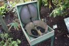gal/Londres/Royal_Botanic_Gardens_-_Kew/Palm_House/_thb_Palm_House_Kew_Gardens35.jpg