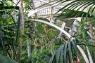 gal/Londres/Royal_Botanic_Gardens_-_Kew/Palm_House/_thb_Palm_House_Kew_Gardens37.jpg