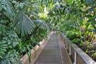 gal/Londres/Royal_Botanic_Gardens_-_Kew/Palm_House/_thb_Palm_House_Kew_Gardens43.jpg
