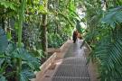 gal/Londres/Royal_Botanic_Gardens_-_Kew/Palm_House/_thb_Palm_House_Kew_Gardens47.jpg