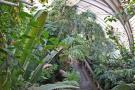 gal/Londres/Royal_Botanic_Gardens_-_Kew/Palm_House/_thb_Palm_House_Kew_Gardens69.jpg