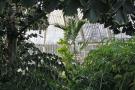gal/Londres/Royal_Botanic_Gardens_-_Kew/Palm_House/_thb_Palm_House_Kew_Gardens70.jpg