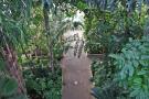 gal/Londres/Royal_Botanic_Gardens_-_Kew/Palm_House/_thb_Palm_House_Kew_Gardens73.jpg