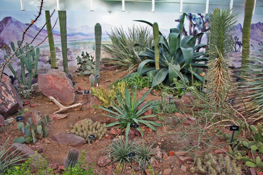 gal/Londres/Royal_Botanic_Gardens_-_Kew/Princess_of_Whales_Conservatory/Kew_Gardens06.jpg