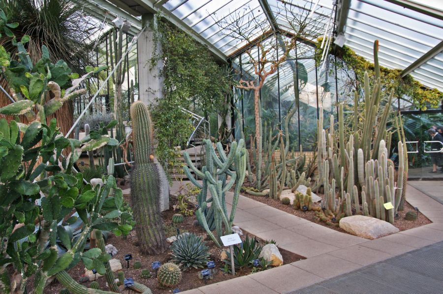 gal/Londres/Royal_Botanic_Gardens_-_Kew/Princess_of_Whales_Conservatory/Kew_Gardens11.jpg