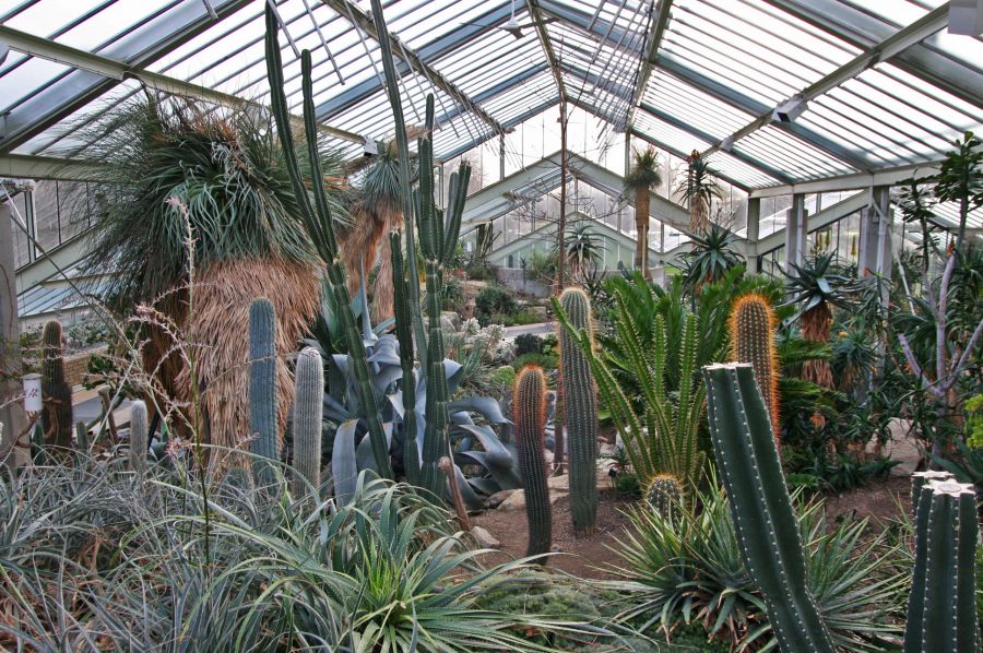 gal/Londres/Royal_Botanic_Gardens_-_Kew/Princess_of_Whales_Conservatory/Kew_Gardens15.jpg