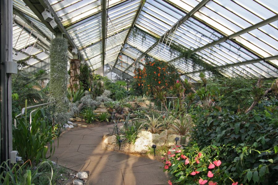 gal/Londres/Royal_Botanic_Gardens_-_Kew/Princess_of_Whales_Conservatory/Kew_Gardens16.jpg