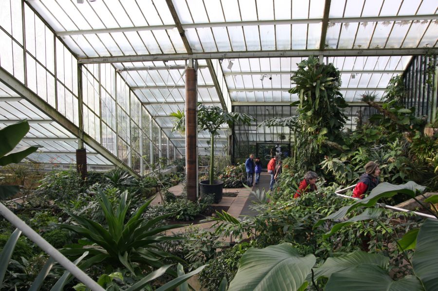 gal/Londres/Royal_Botanic_Gardens_-_Kew/Princess_of_Whales_Conservatory/Kew_Gardens19.jpg