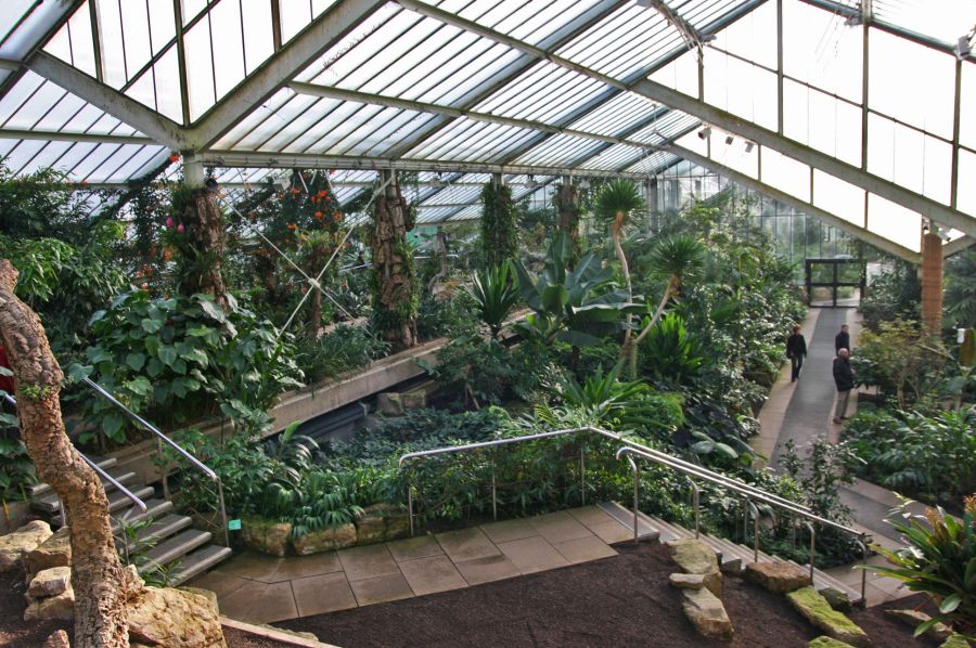 gal/Londres/Royal_Botanic_Gardens_-_Kew/Princess_of_Whales_Conservatory/Kew_Gardens20.jpg