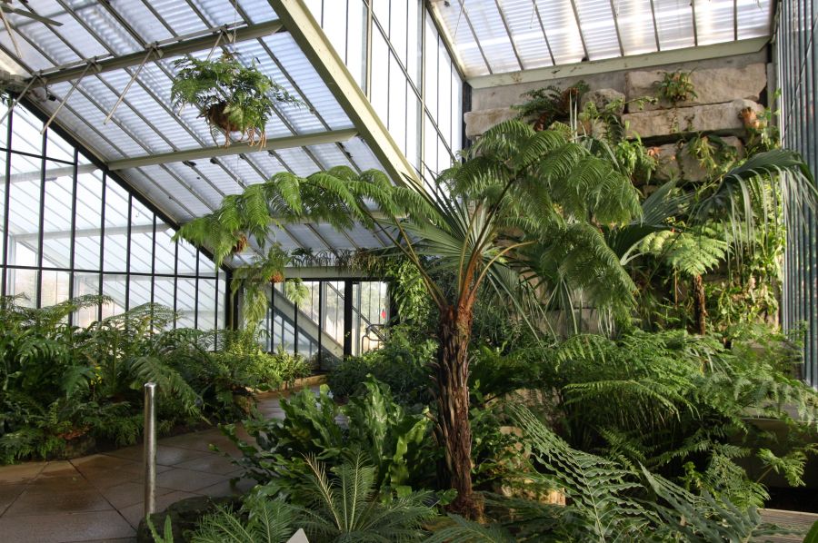 gal/Londres/Royal_Botanic_Gardens_-_Kew/Princess_of_Whales_Conservatory/Kew_Gardens21.jpg