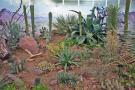 gal/Londres/Royal_Botanic_Gardens_-_Kew/Princess_of_Whales_Conservatory/_thb_Kew_Gardens06.jpg