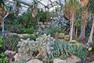 gal/Londres/Royal_Botanic_Gardens_-_Kew/Princess_of_Whales_Conservatory/_thb_Kew_Gardens08.jpg