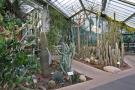 gal/Londres/Royal_Botanic_Gardens_-_Kew/Princess_of_Whales_Conservatory/_thb_Kew_Gardens11.jpg