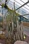 gal/Londres/Royal_Botanic_Gardens_-_Kew/Princess_of_Whales_Conservatory/_thb_Kew_Gardens14.jpg