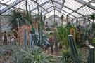 gal/Londres/Royal_Botanic_Gardens_-_Kew/Princess_of_Whales_Conservatory/_thb_Kew_Gardens15.jpg