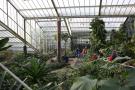gal/Londres/Royal_Botanic_Gardens_-_Kew/Princess_of_Whales_Conservatory/_thb_Kew_Gardens19.jpg