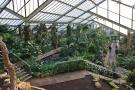 gal/Londres/Royal_Botanic_Gardens_-_Kew/Princess_of_Whales_Conservatory/_thb_Kew_Gardens20.jpg