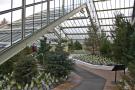 gal/Londres/Royal_Botanic_Gardens_-_Kew/Princess_of_Whales_Conservatory/_thb_Kew_Gardens22.jpg