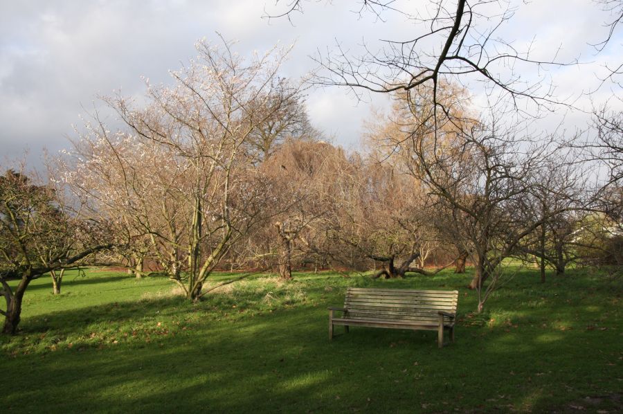 gal/Londres/Royal_Botanic_Gardens_-_Kew/Royal_Botanic_Gardens_Kew37.jpg