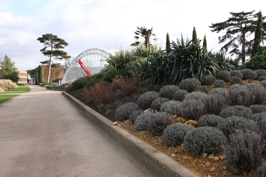 gal/Londres/Royal_Botanic_Gardens_-_Kew/Royal_Botanic_Gardens_Kew38.jpg