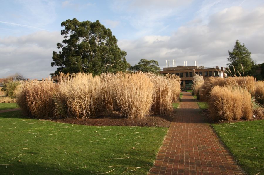 gal/Londres/Royal_Botanic_Gardens_-_Kew/Royal_Botanic_Gardens_Kew41.jpg