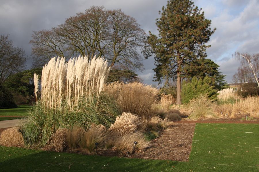 gal/Londres/Royal_Botanic_Gardens_-_Kew/Royal_Botanic_Gardens_Kew42.jpg
