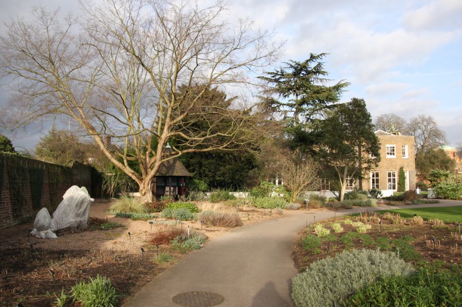 gal/Londres/Royal_Botanic_Gardens_-_Kew/Royal_Botanic_Gardens_Kew46.jpg