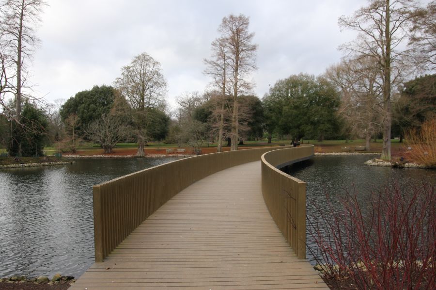 gal/Londres/Royal_Botanic_Gardens_-_Kew/Royal_Botanic_Gardens_Kew69.jpg