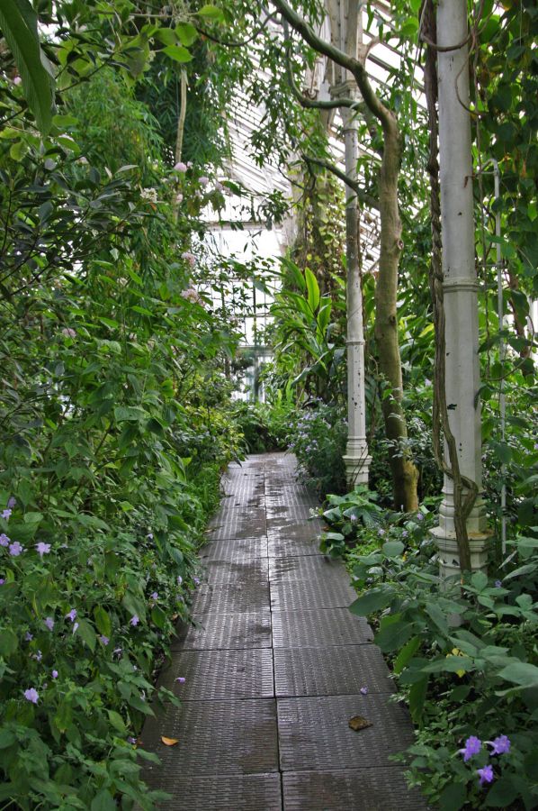 gal/Londres/Royal_Botanic_Gardens_-_Kew/Temperate_House/Temperate_House_Kew_Gardens03.jpg