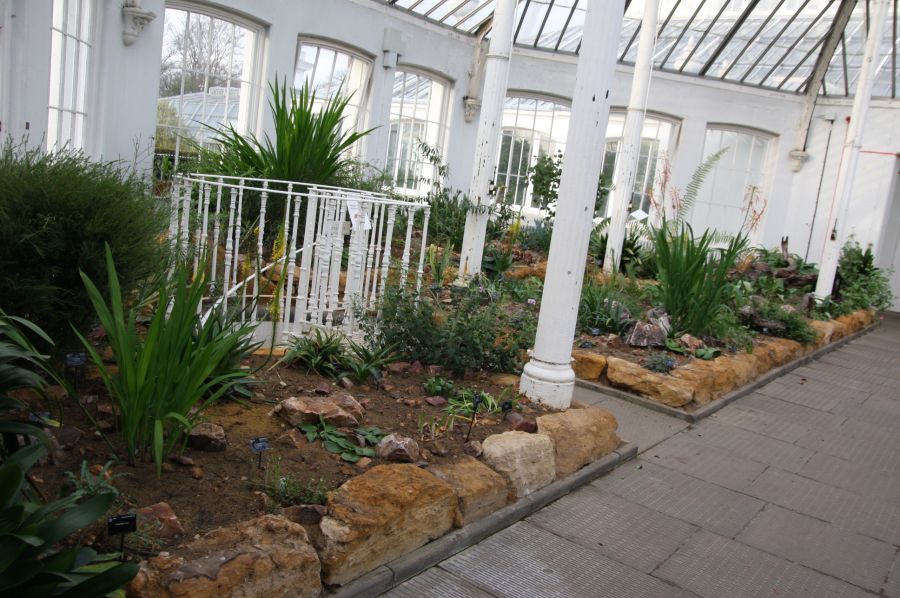 gal/Londres/Royal_Botanic_Gardens_-_Kew/Temperate_House/Temperate_House_Kew_Gardens20.jpg